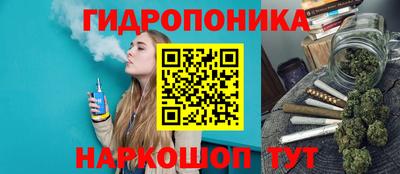 дживик Брянск