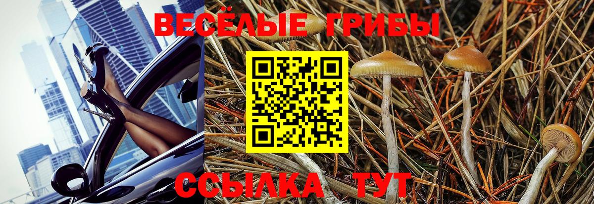 Галлюциногенные грибы ЛСД Самара