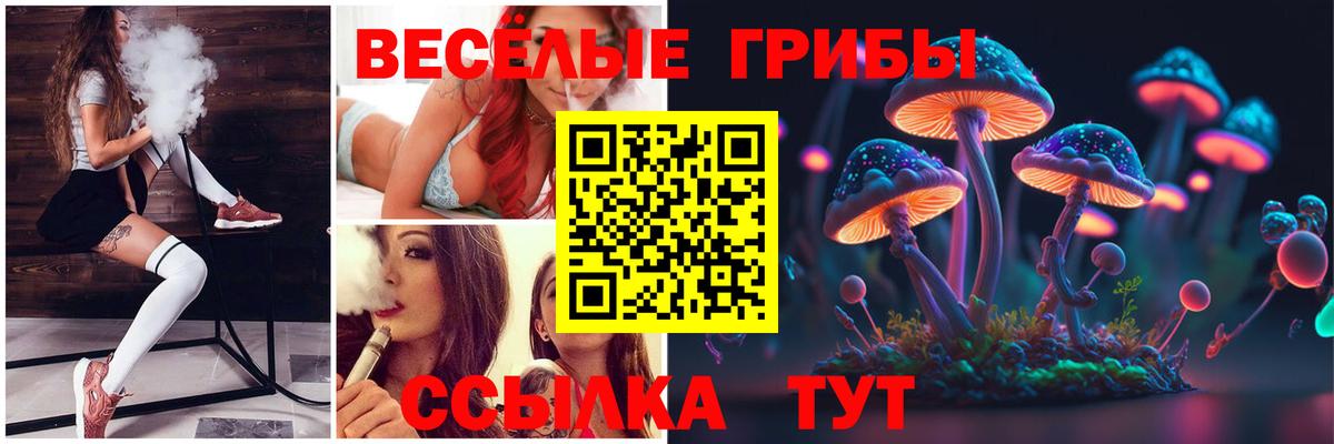 Галлюциногенные грибы Psilocybine cubensis  Вход с VPN  Самара 