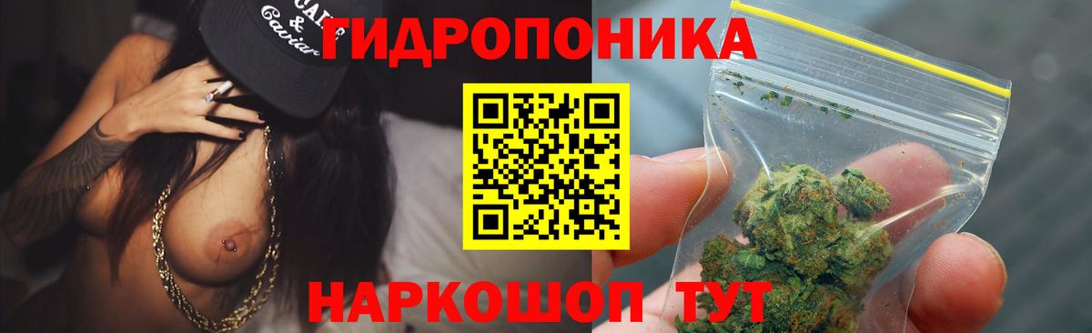 Бошки Шишки семена Самара